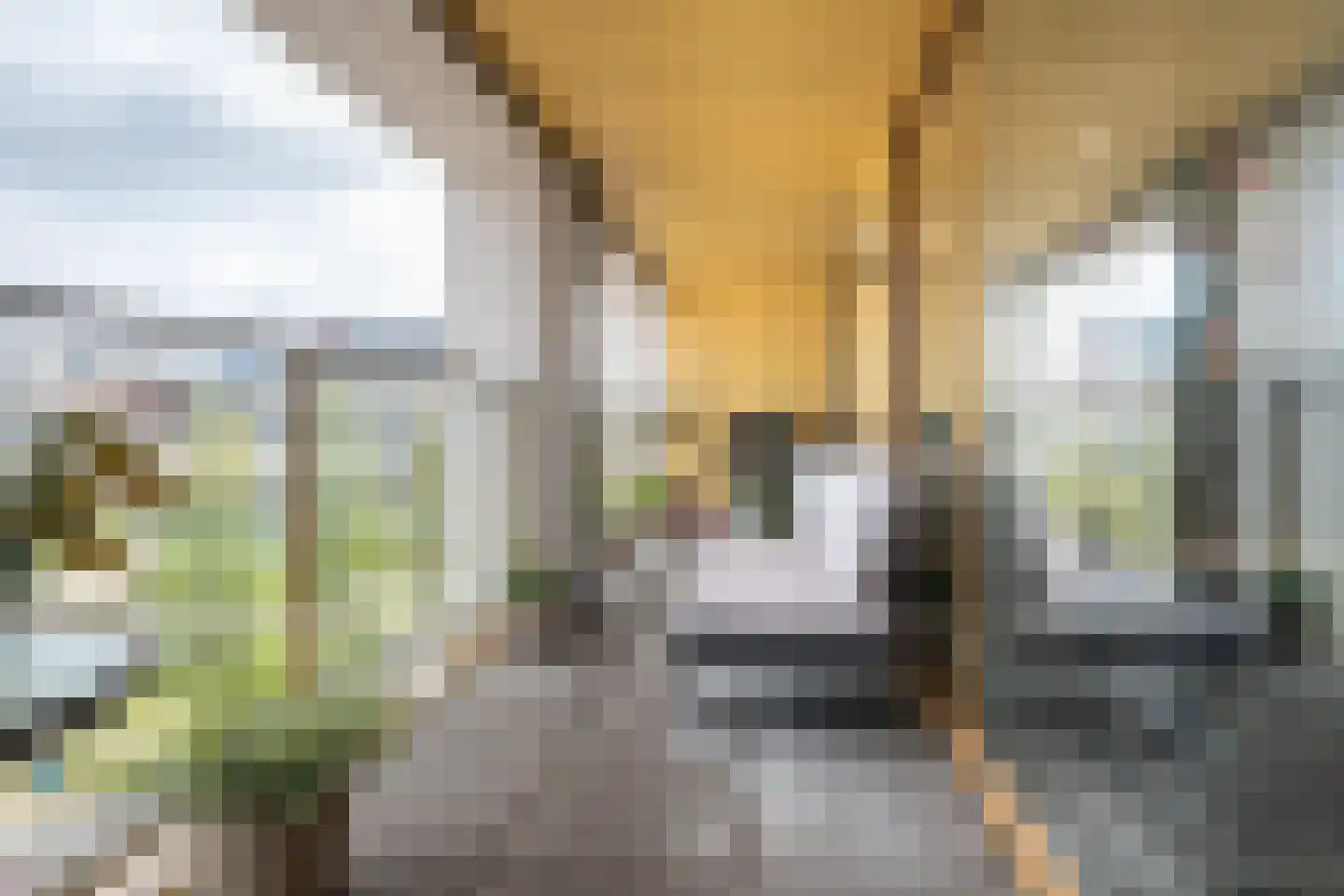 Bloemsingel 138 Groningen thumbnail 29