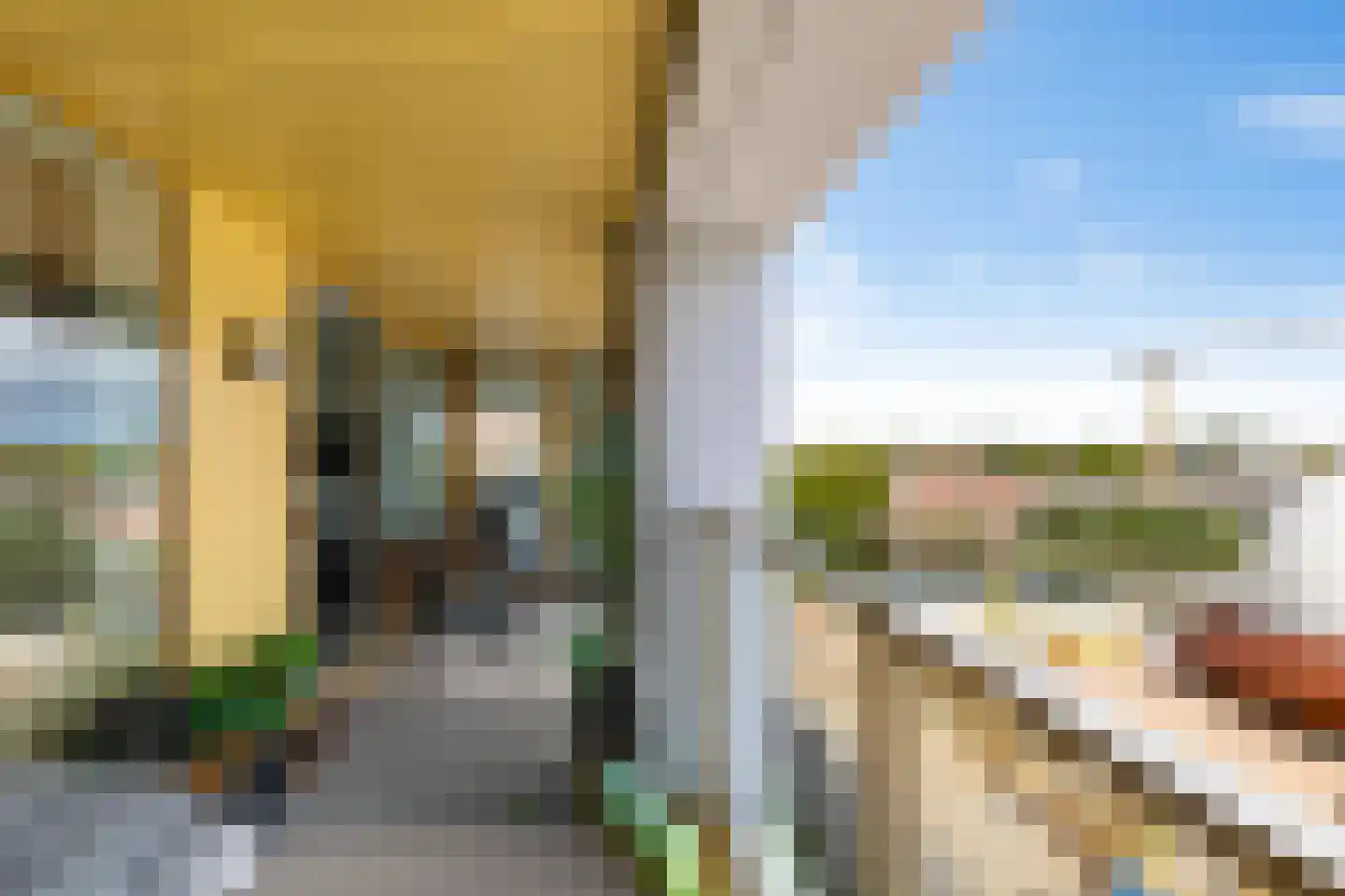 Bloemsingel 148 Groningen thumbnail 37