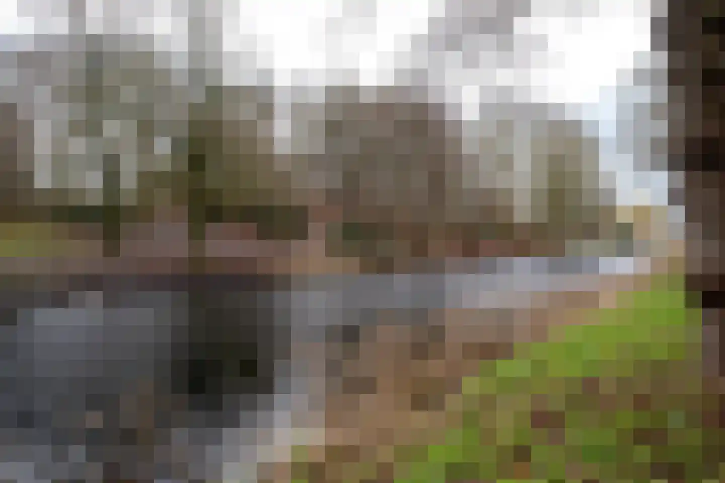 Bloemsingel 157 Groningen thumbnail 27
