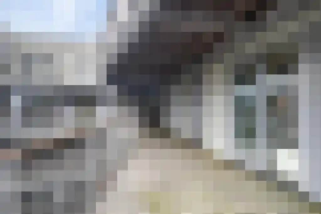 Bloemsingel 157 Groningen thumbnail 9