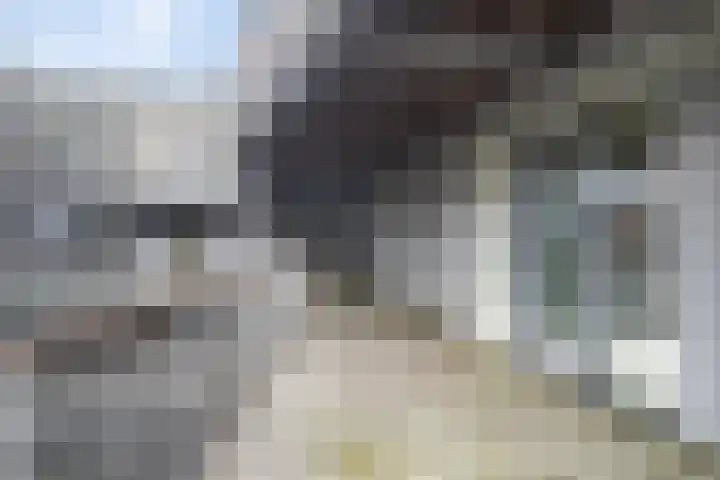 Bloemsingel 157 Groningen thumbnail 9