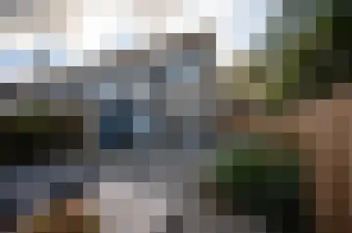 Bloemstede 14 Maarssen thumbnail 10