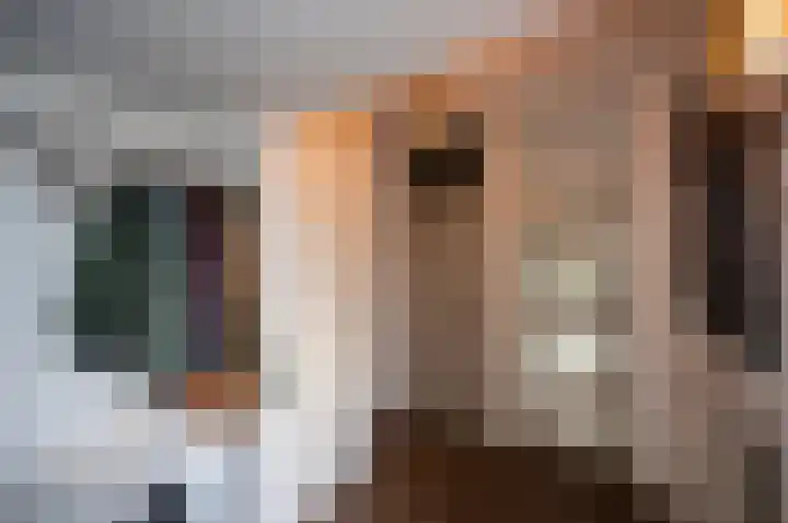 Bloemstede 14 Maarssen thumbnail 14