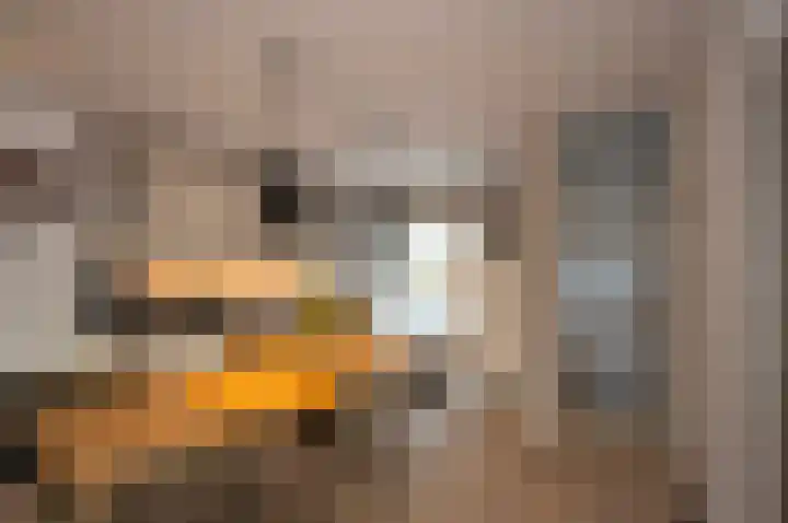 Bloemstede 14 Maarssen thumbnail 24