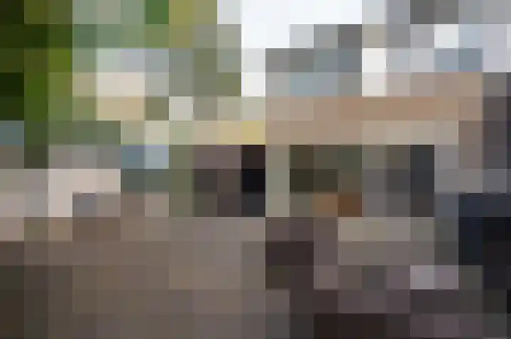 Bloemstede 14 Maarssen thumbnail 46
