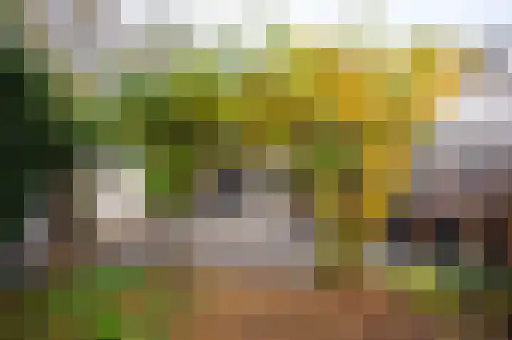 Bloemstede 14 Maarssen thumbnail 47