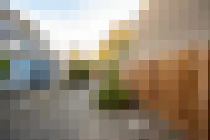 Bloemstede 14 Maarssen thumbnail 7