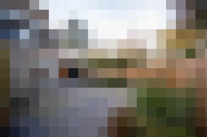 Bloemstede 14 Maarssen thumbnail 9