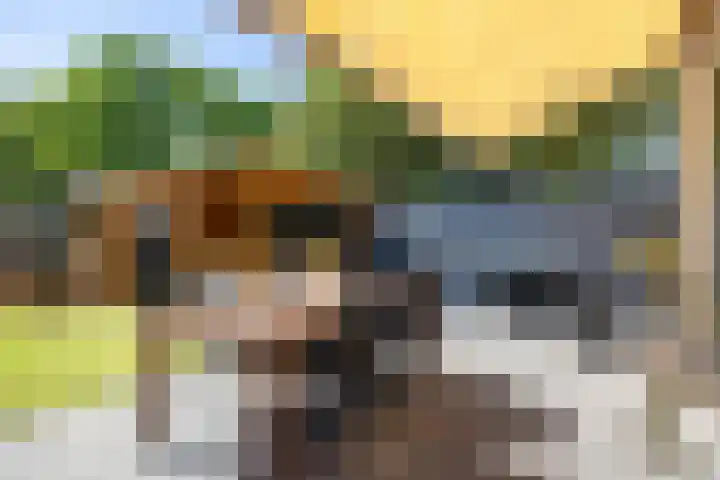 Bloemstede 172 Maarssen thumbnail 18