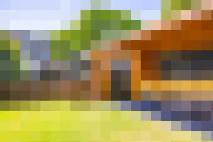 Bloemstede 172 Maarssen thumbnail 23