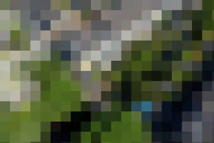 Bloemstede 172 Maarssen thumbnail 49