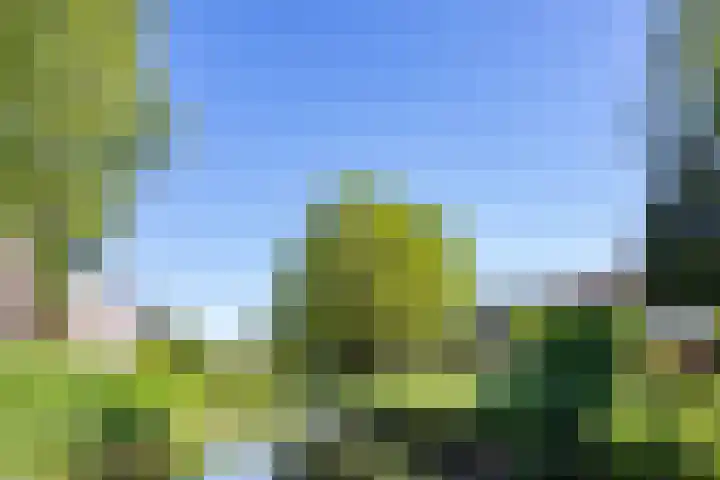 Bloemstede 172 Maarssen thumbnail 50