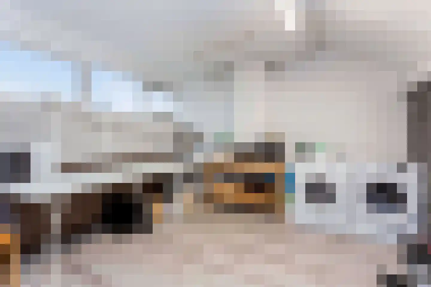 Bloemstede 175 Maarssen thumbnail 26