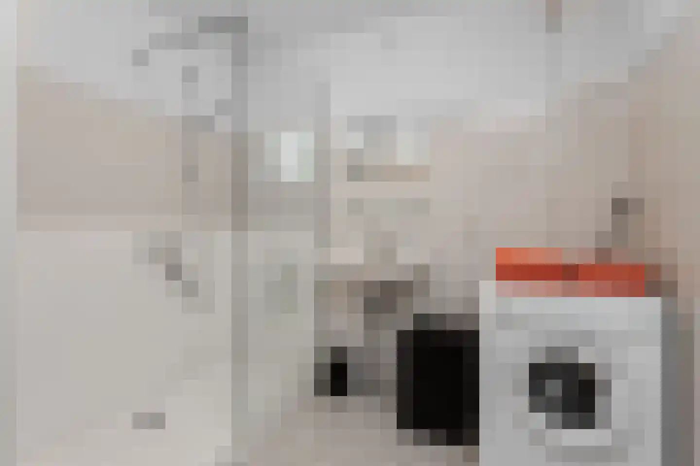 Bloemstede 224 22 Maarssen thumbnail 22