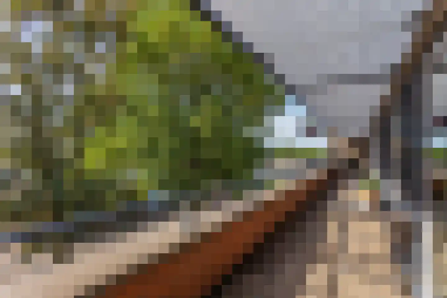 Bloemstede 224 22 Maarssen thumbnail 30