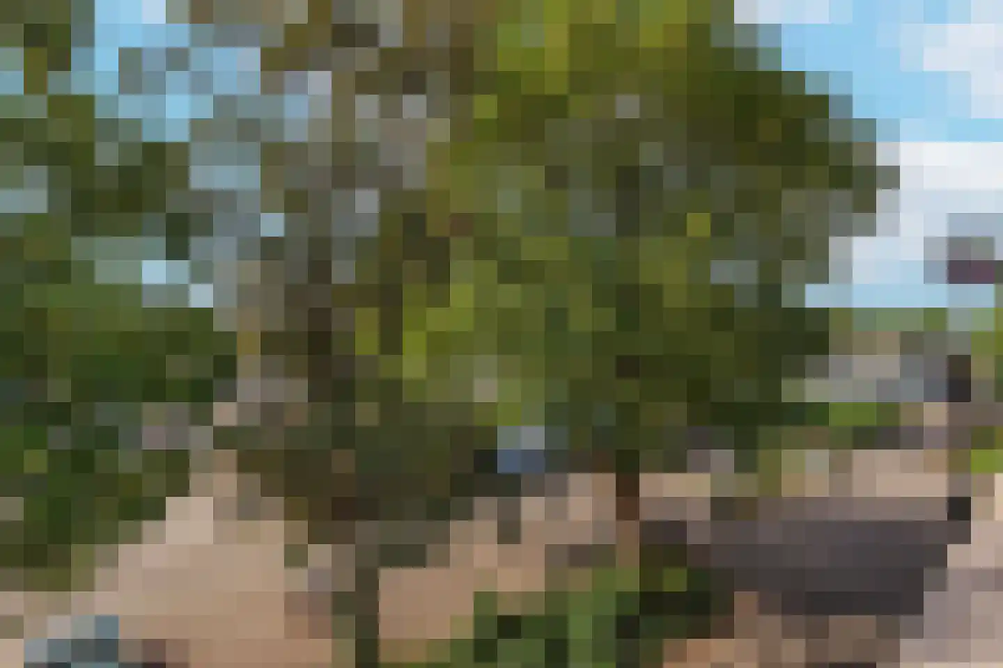 Bloemstede 224 22 Maarssen thumbnail 31