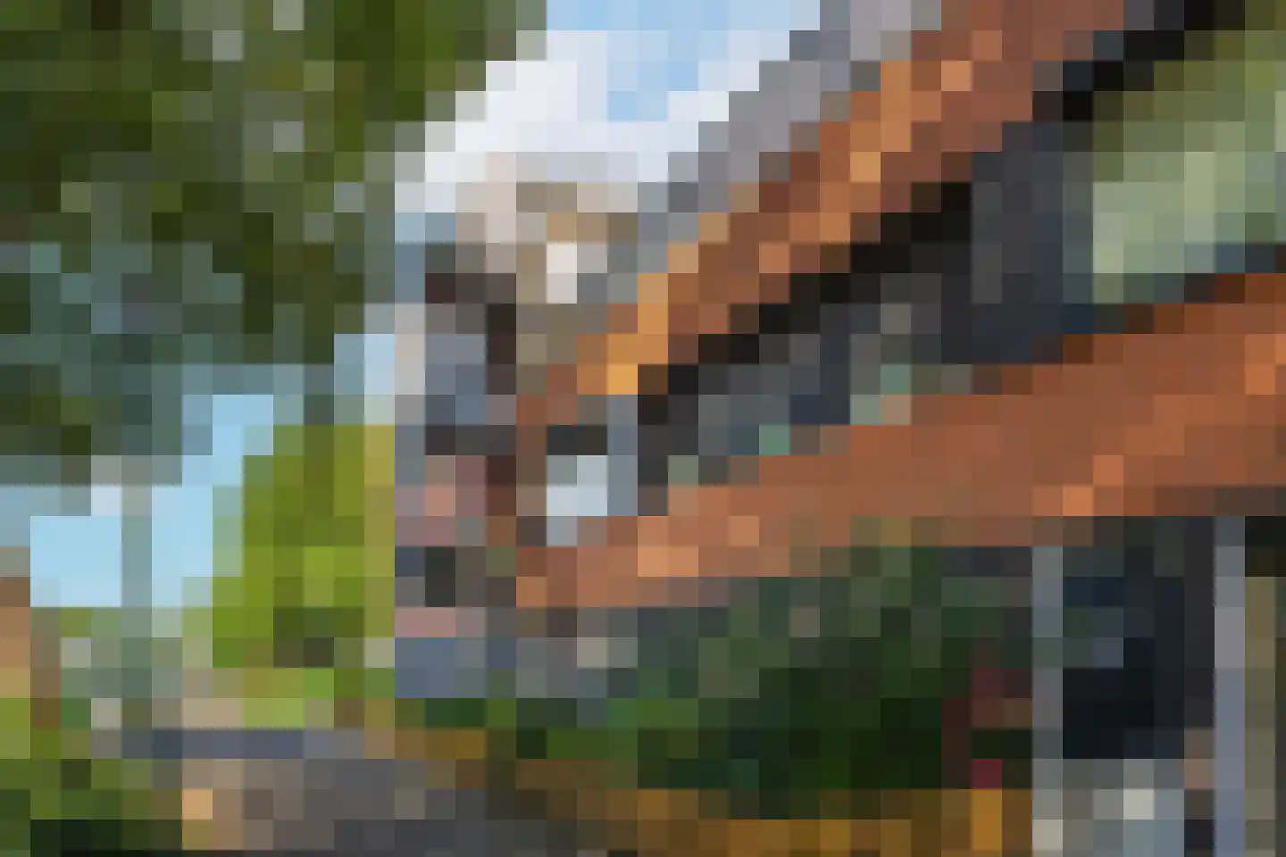 Bloemstede 224 22 Maarssen thumbnail 36