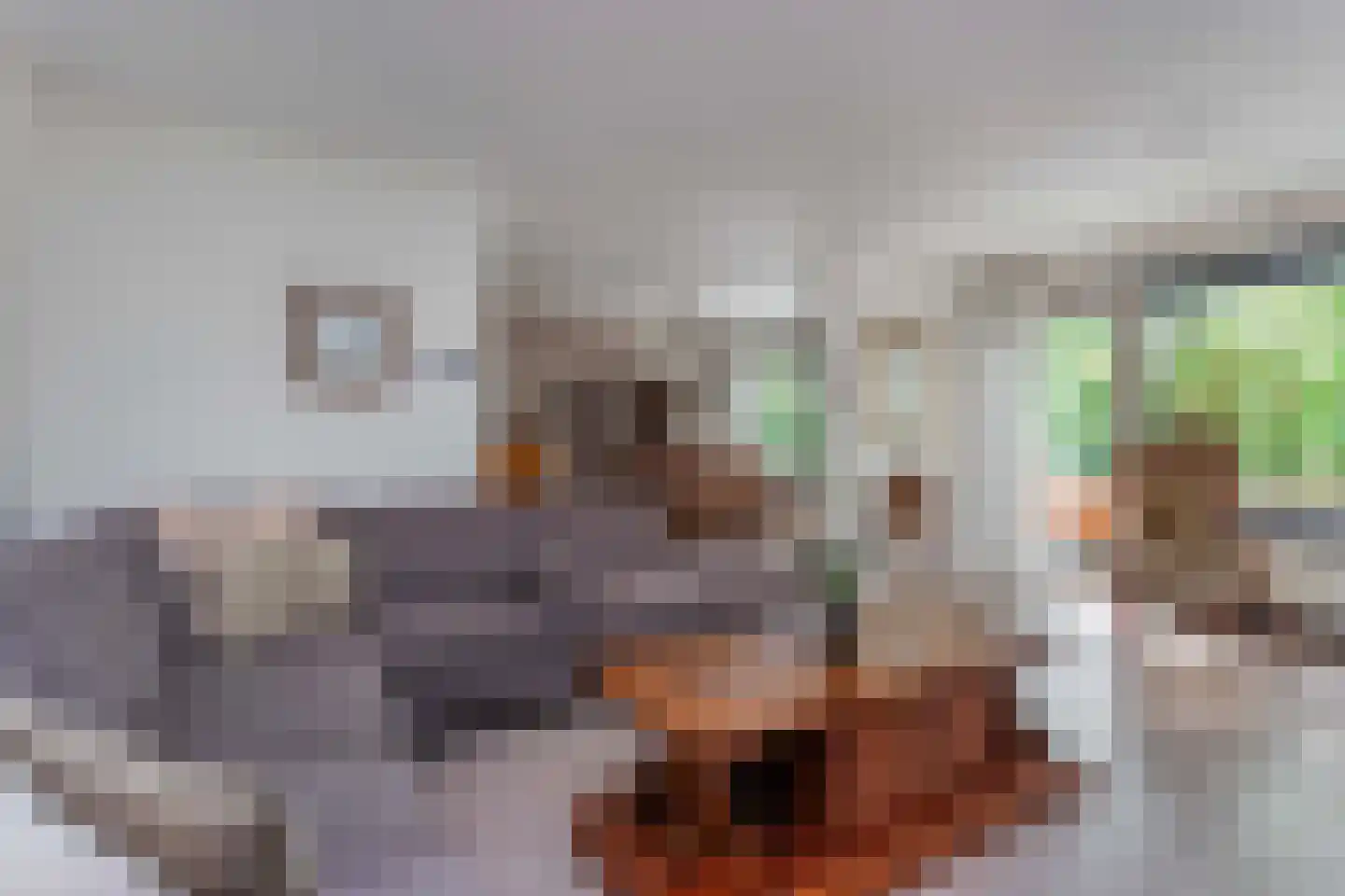 Bloemstede 224 22 Maarssen thumbnail 7
