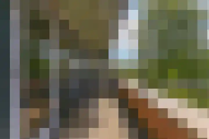 Bloemstede 224 41 Maarssen thumbnail 21