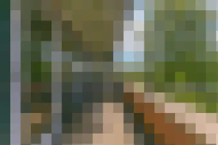 Bloemstede 224 41 Maarssen thumbnail 22