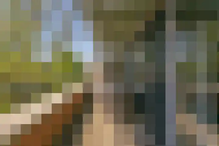 Bloemstede 224 41 Maarssen thumbnail 23