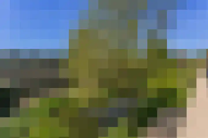 Bloemstede 224 41 Maarssen thumbnail 24