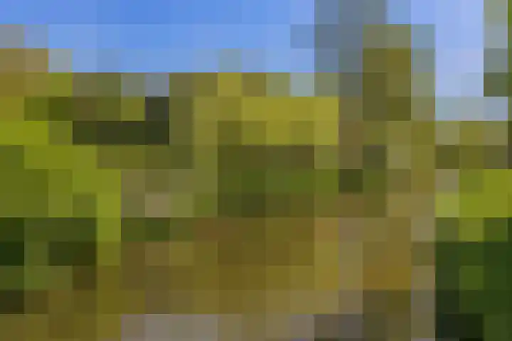 Bloemstede 224 41 Maarssen thumbnail 25
