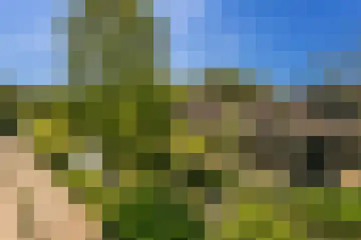 Bloemstede 224 41 Maarssen thumbnail 26
