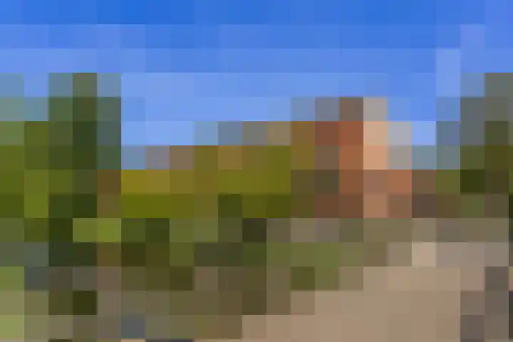 Bloemstede 224 41 Maarssen thumbnail 27