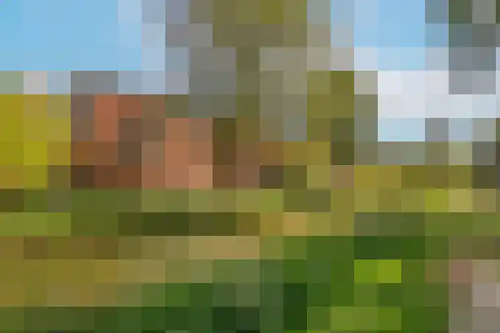 Bloemstede 224 41 Maarssen thumbnail 28