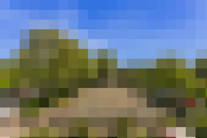 Bloemstede 224 41 Maarssen thumbnail 30