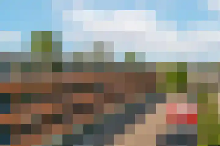 Bloemstede 224 41 Maarssen thumbnail 5