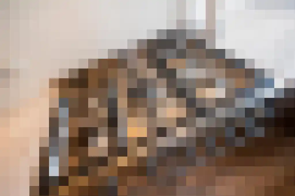Bloemstede 233 Maarssen thumbnail 14