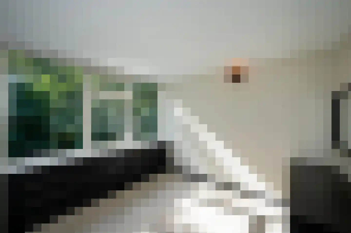 Bloemstede 233 Maarssen thumbnail 29
