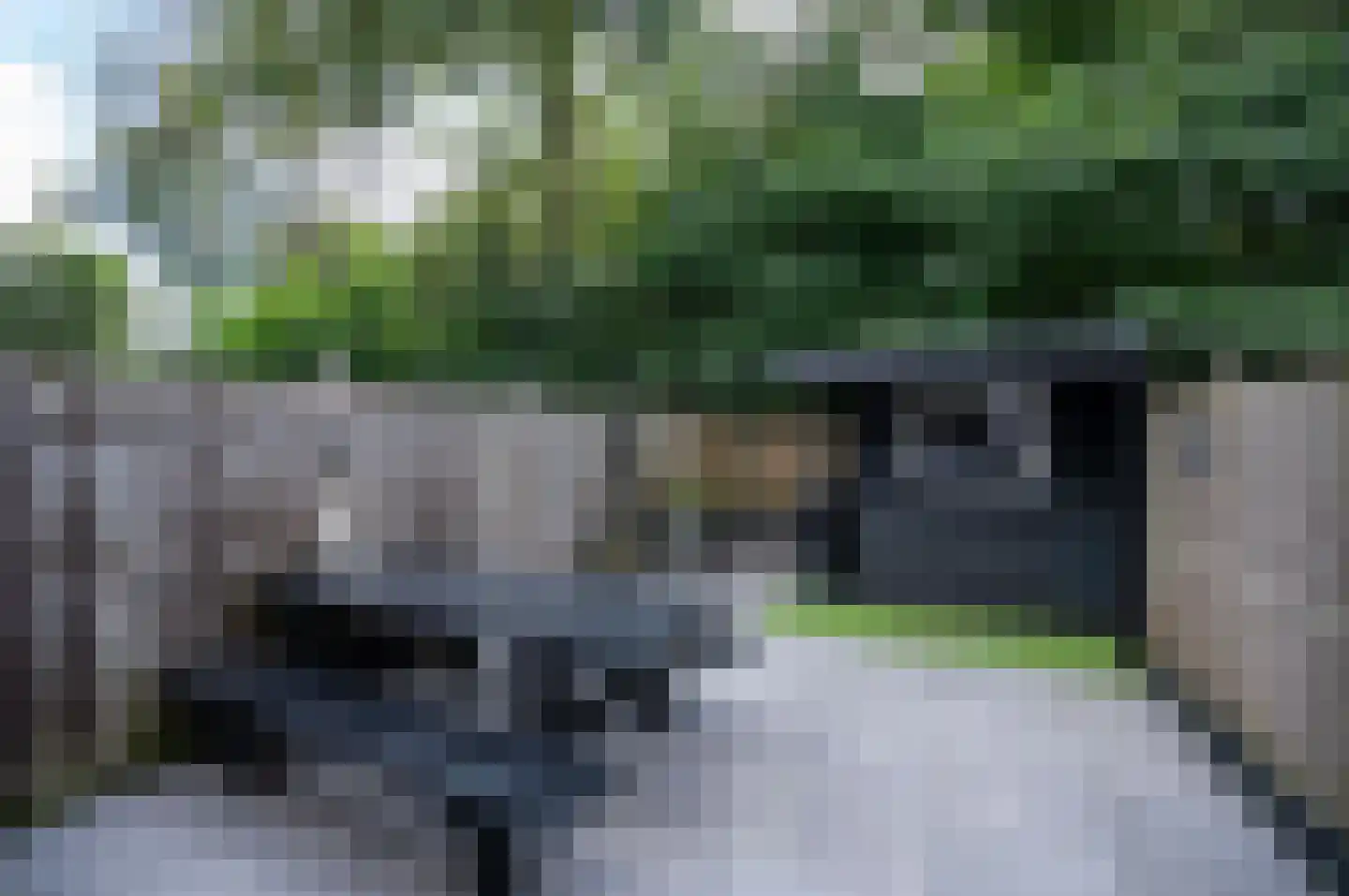 Bloemstede 233 Maarssen thumbnail 39