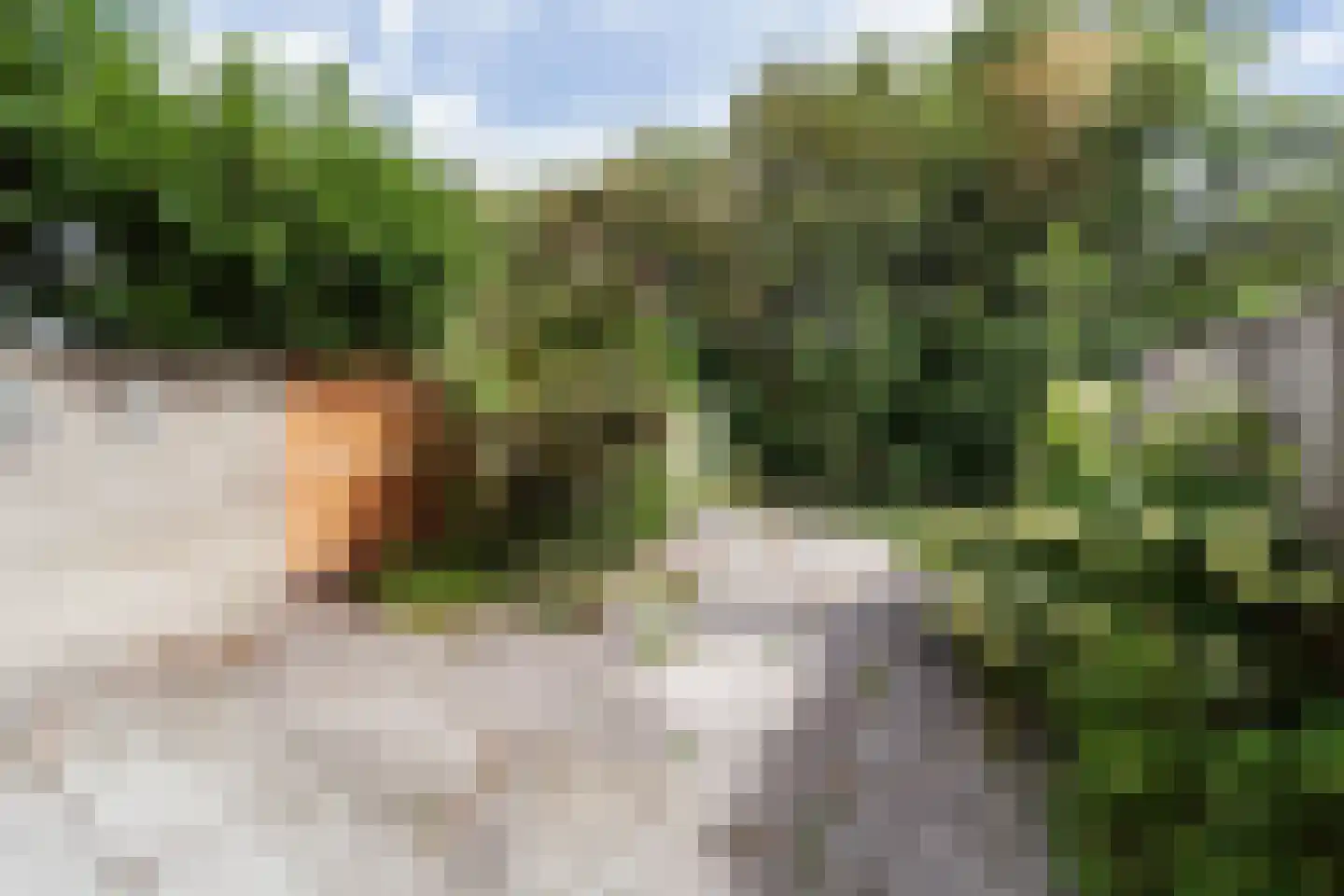 Bloemstede 282 Maarssen thumbnail 15