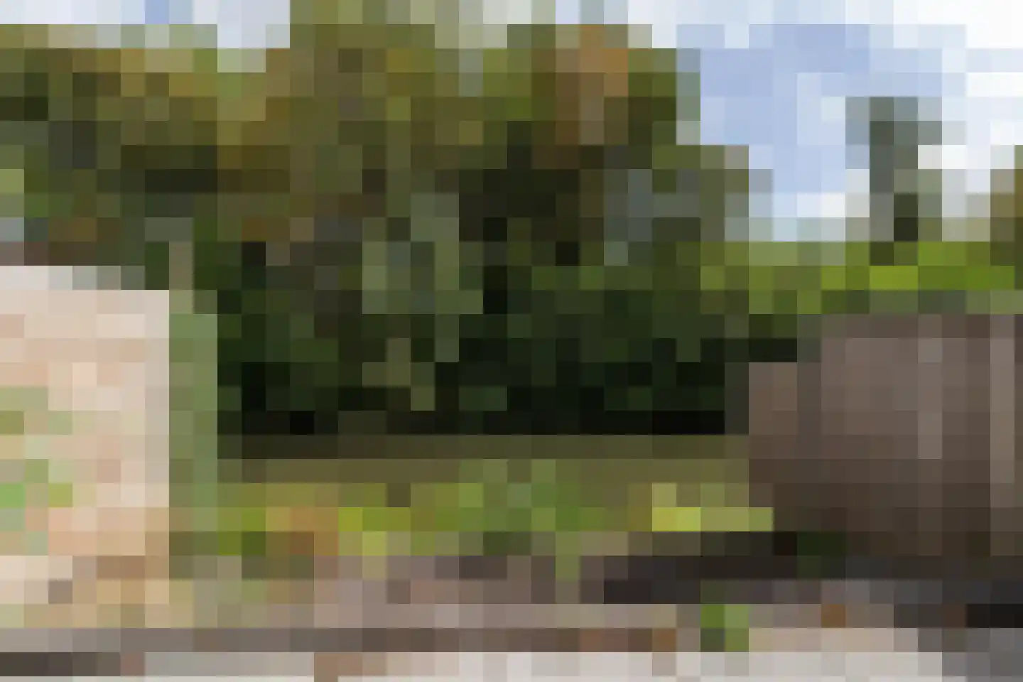 Bloemstede 282 Maarssen thumbnail 16