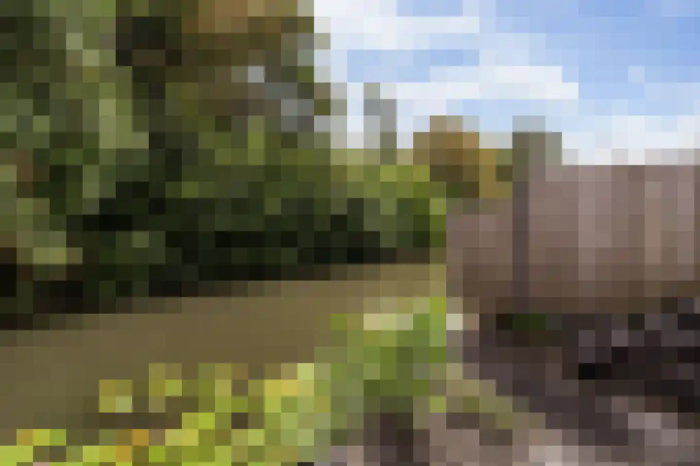 Bloemstede 282 Maarssen thumbnail 17