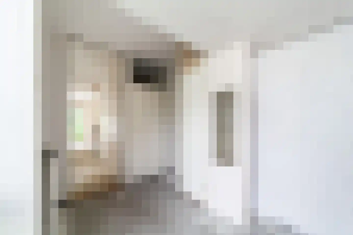 Bloemstede 282 Maarssen thumbnail 4