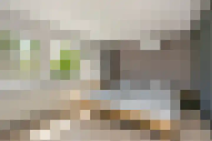 Bloemstede 290 Maarssen thumbnail 13