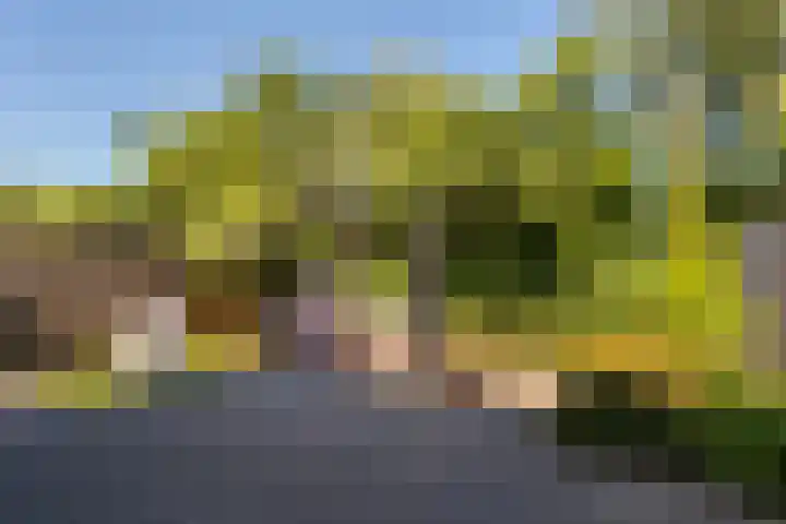 Bloemstede 290 Maarssen thumbnail 24