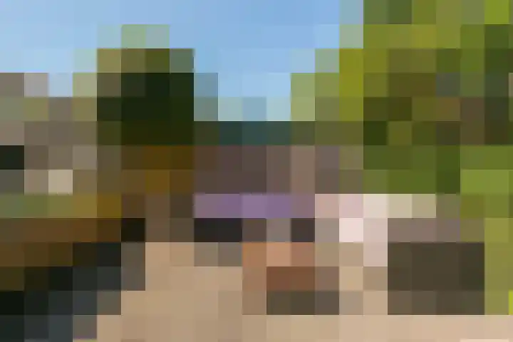 Bloemstede 290 Maarssen thumbnail 25