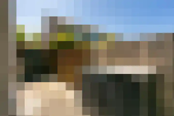 Bloemstede 290 Maarssen thumbnail 28