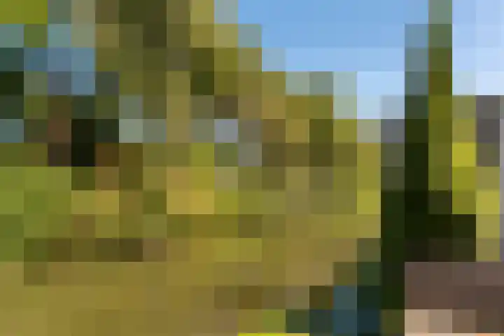 Bloemstede 290 Maarssen thumbnail 29