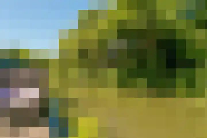 Bloemstede 290 Maarssen thumbnail 30