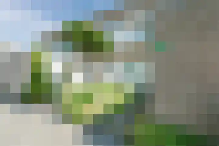 Bloemstede 294 Maarssen thumbnail 4
