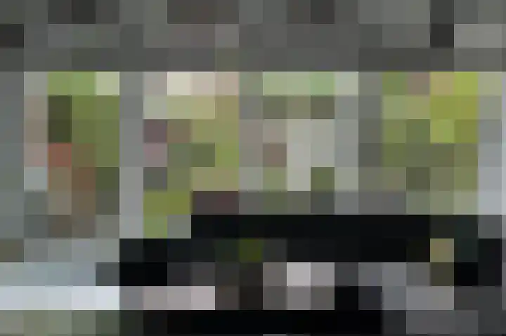 Bloemstede 294 Maarssen thumbnail 44