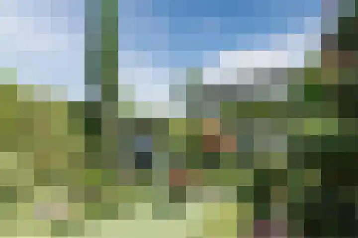 Bloemstede 294 Maarssen thumbnail 45