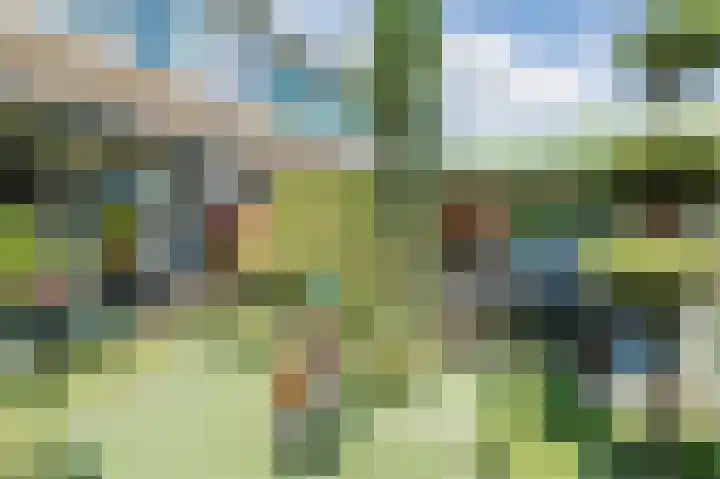 Bloemstede 294 Maarssen thumbnail 46