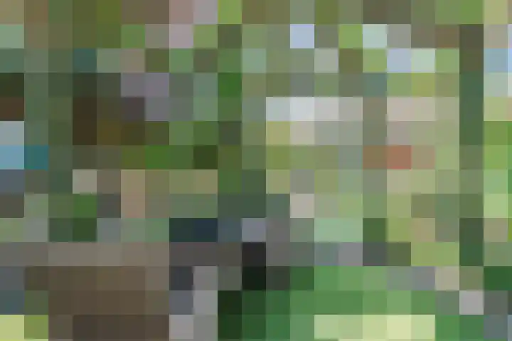 Bloemstede 294 Maarssen thumbnail 48